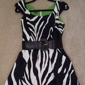 Fun Spring Dress - Zebra with Green Lining Size 6
